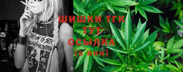 эйфоретик Надым