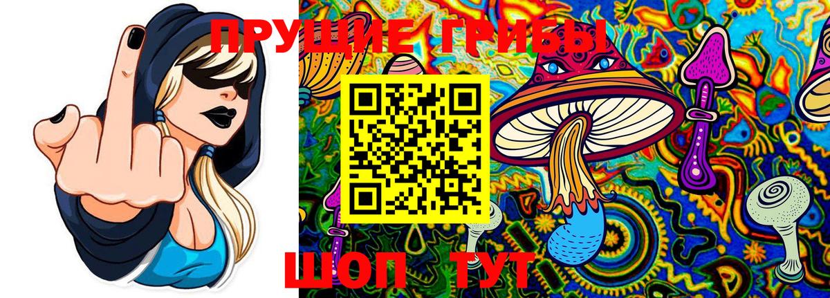 Галлюциногенные грибы Psilocybine cubensis  закладки  Новодвинск 