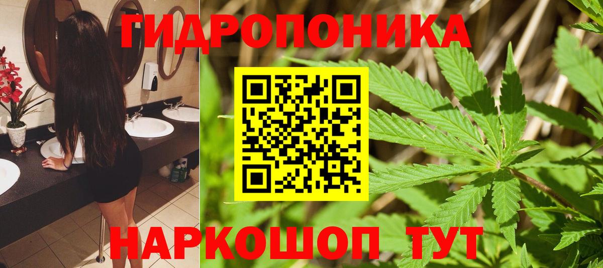 Шишки марихуана VHQ Новодвинск