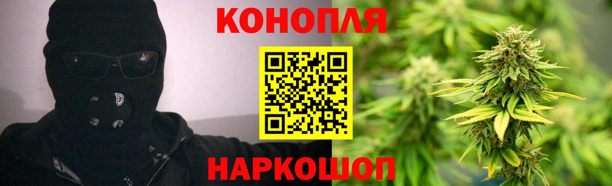 Марихуана Новодвинск